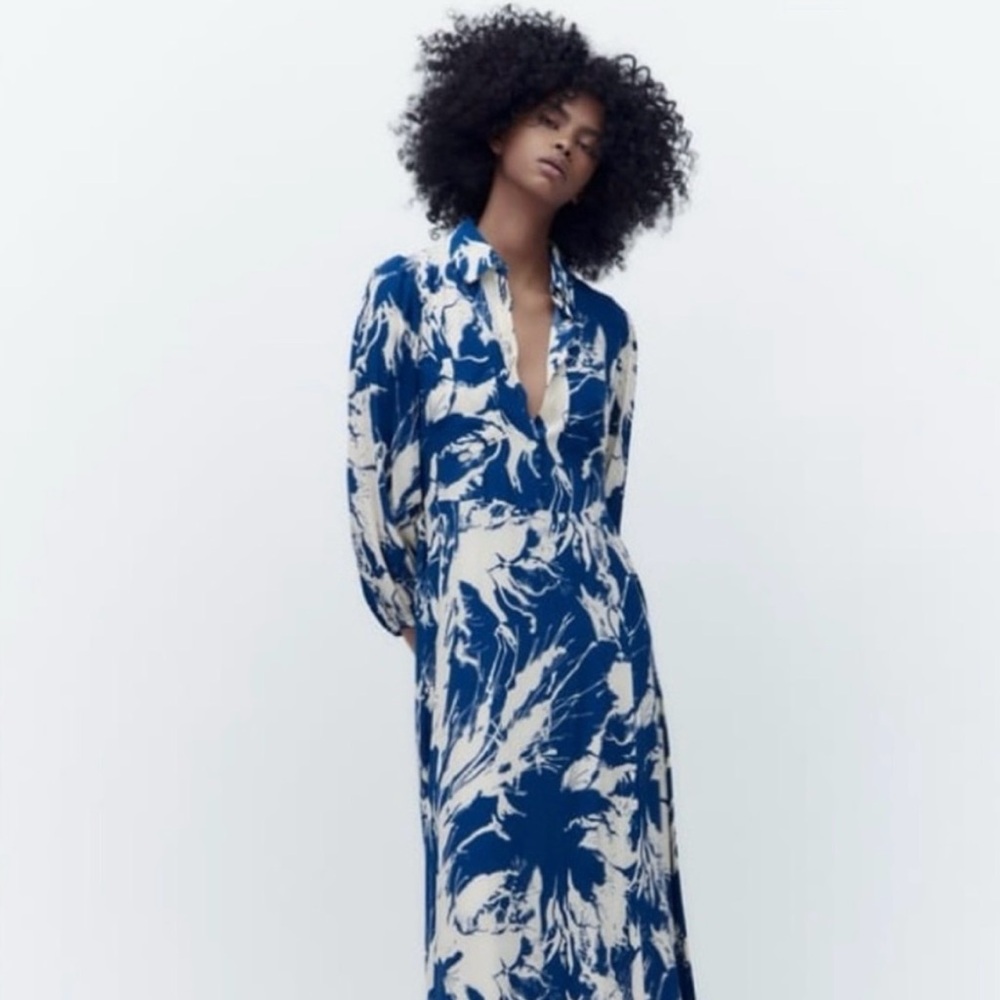Zara - Blue and White Emilie Printed Midi Dress